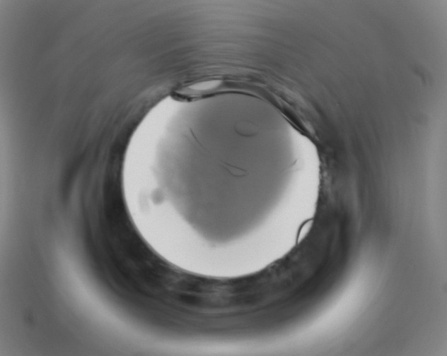 X0000113110143200910091207