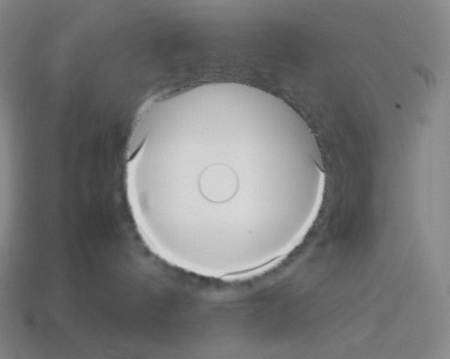 X0000113110144200910091207