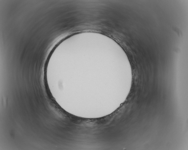 X0000113110148200910091206