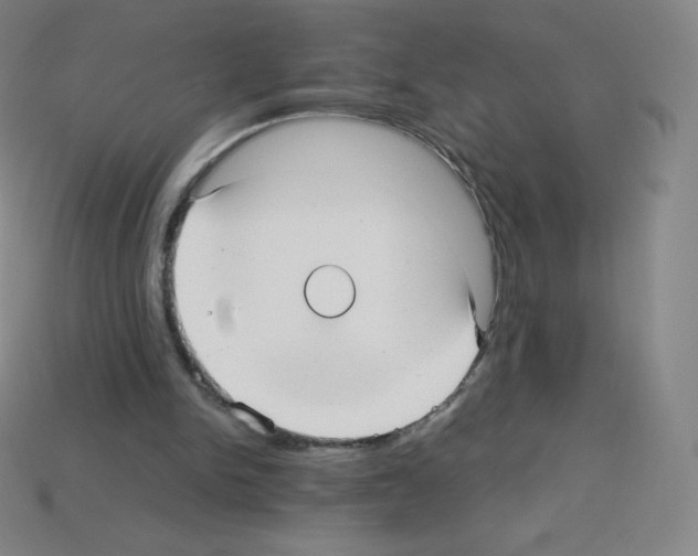 X0000113110150200910091206