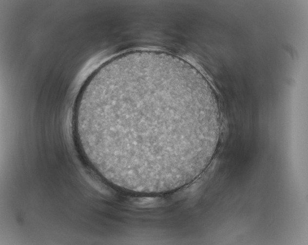 X0000113110151200910091206