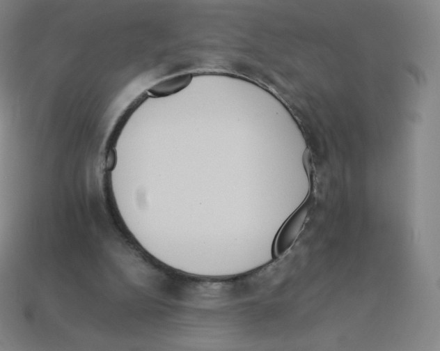 X0000113110152200910091206