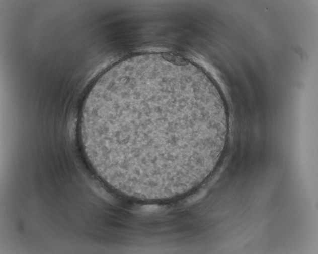 X0000113110153200910091206