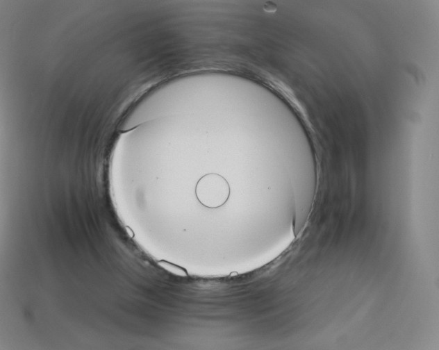 X0000113110154200910091206