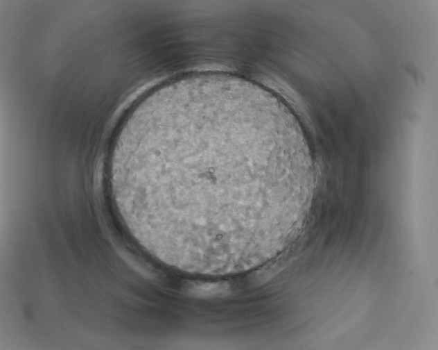 X0000113110155200910091206