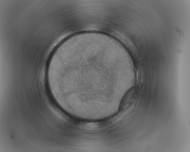X0000113110156200910091206