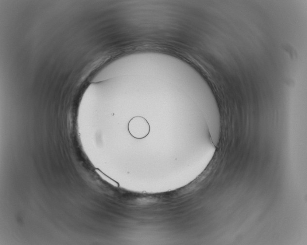 X0000113110158200910091206
