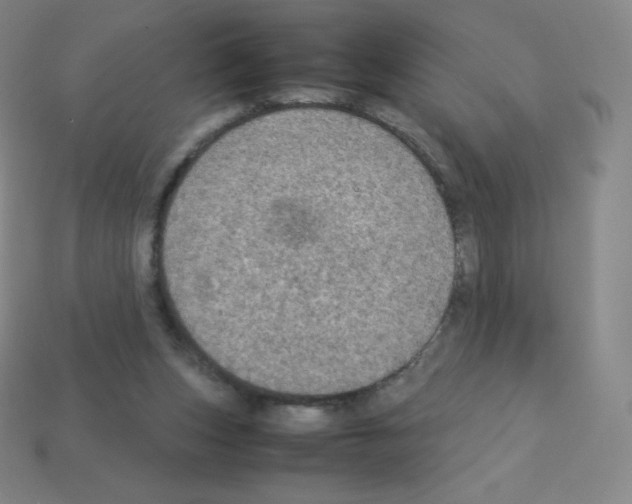 X0000113110159200910091206