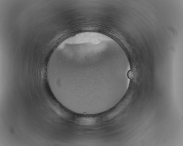 X0000113110161200910091206