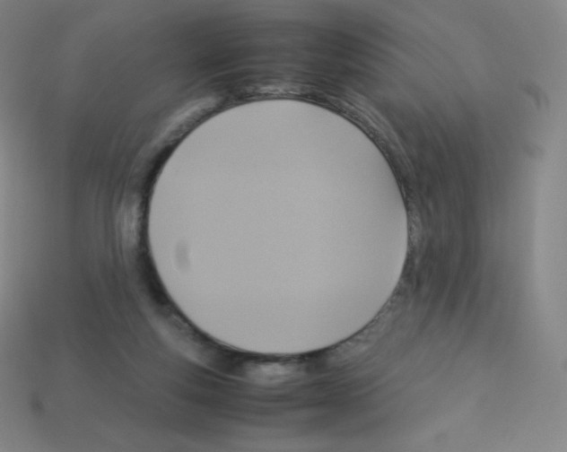 X0000113110163200910091206