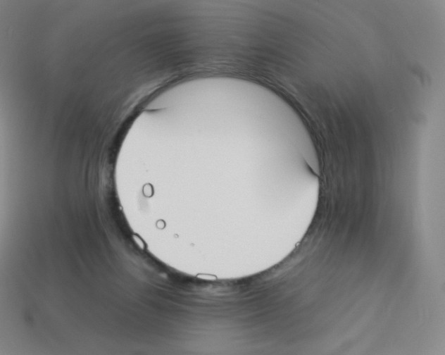 X0000113110164200910091206