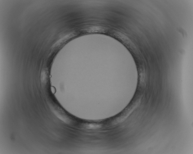 X0000113110165200910091206