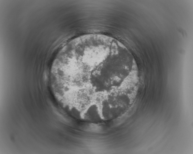 X0000113110166200910091206