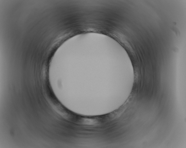 X0000113110167200910091206
