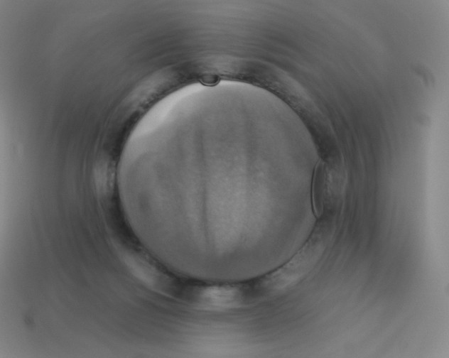 X0000113110168200910091206
