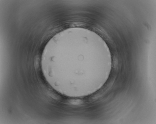 X0000113110169200910091206