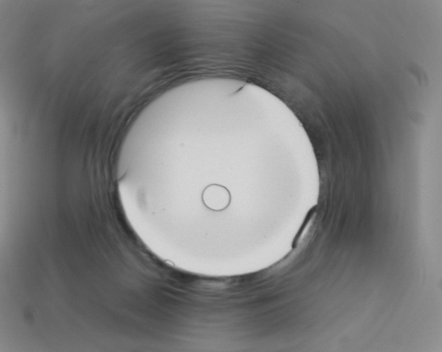 X0000113110170200910091206