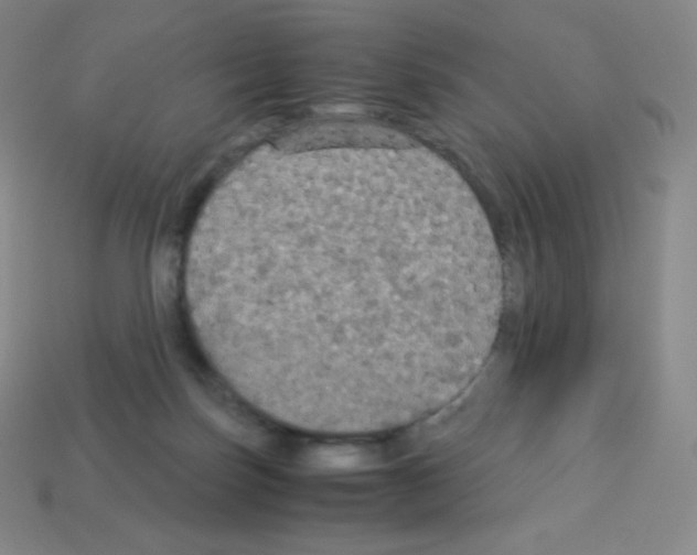 X0000113110171200910091206