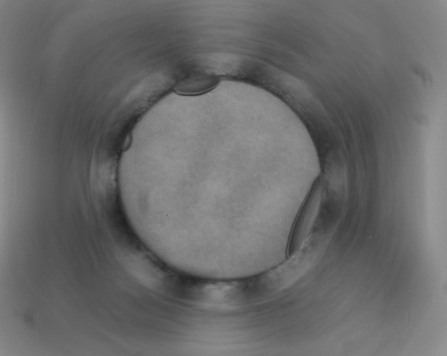 X0000113110172200910091206