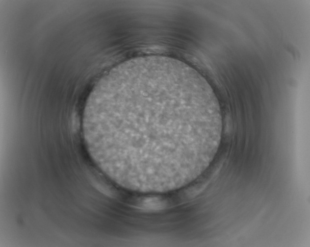 X0000113110173200910091206