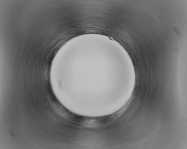 X0000113110174200910091206