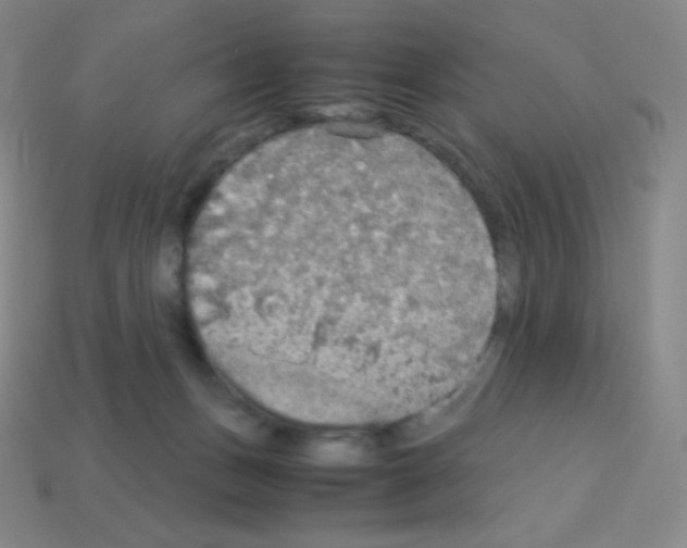X0000113110175200910091206