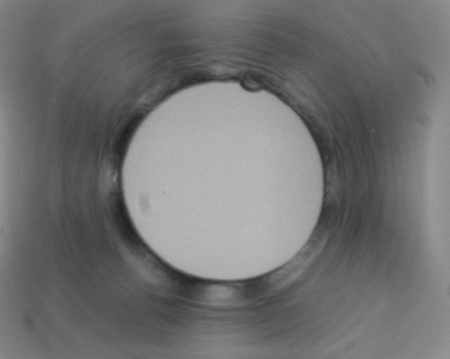 X0000113110176200910091206