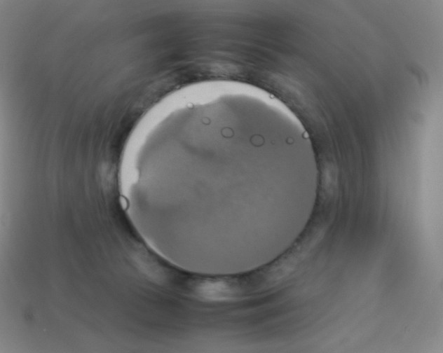 X0000113110177200910091207