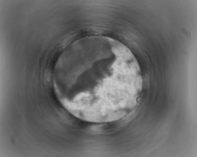 X0000113110178200910091207