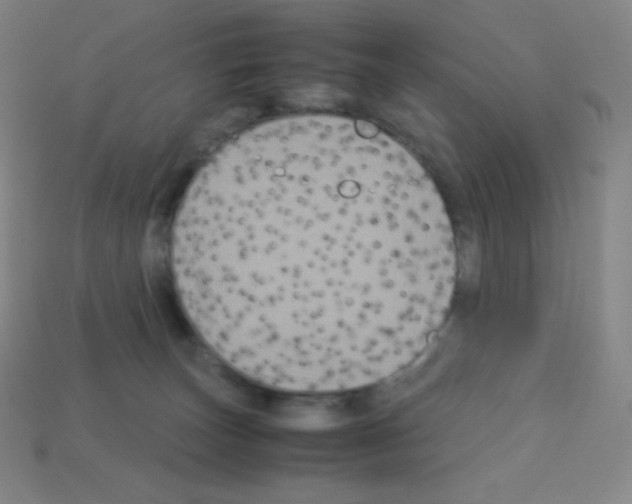 X0000113110179200910091207