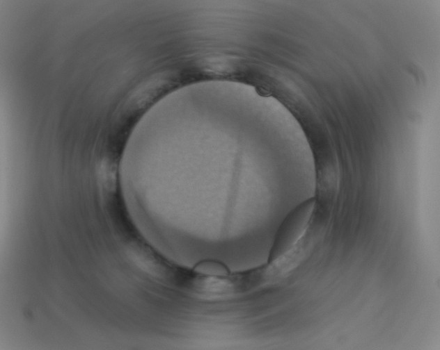 X0000113110180200910091207