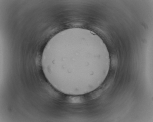 X0000113110181200910091207