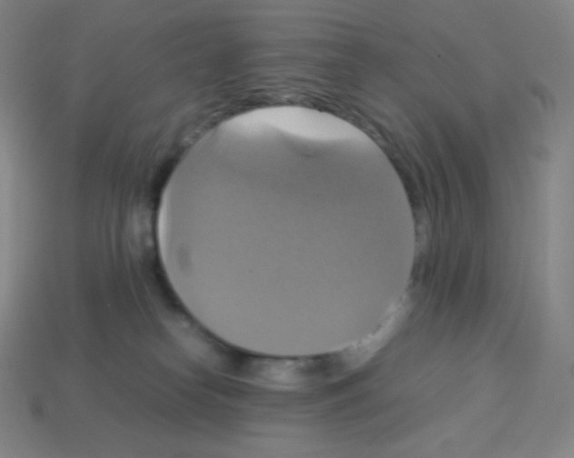 X0000113110182200910091207