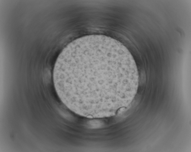 X0000113110183200910091207