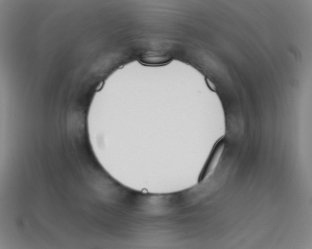 X0000113110184200910091207