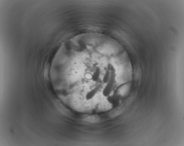 X0000113110185200910091207