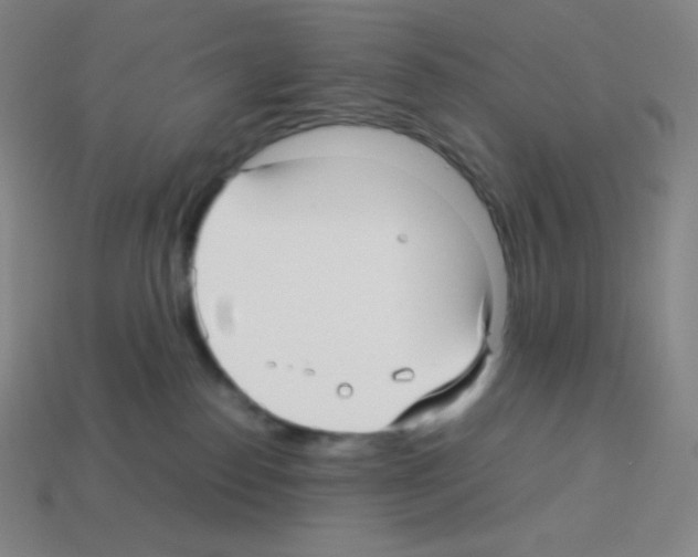 X0000113110186200910091207