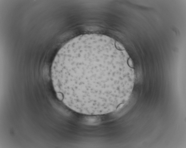 X0000113110187200910091207