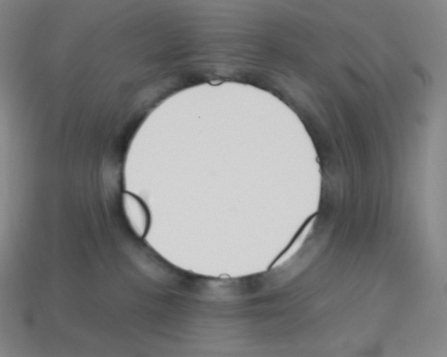 X0000113110188200910091207
