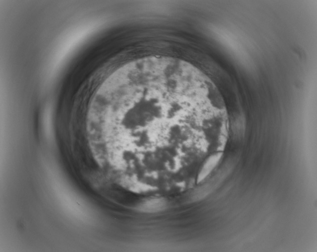 X0000113110189200910091207