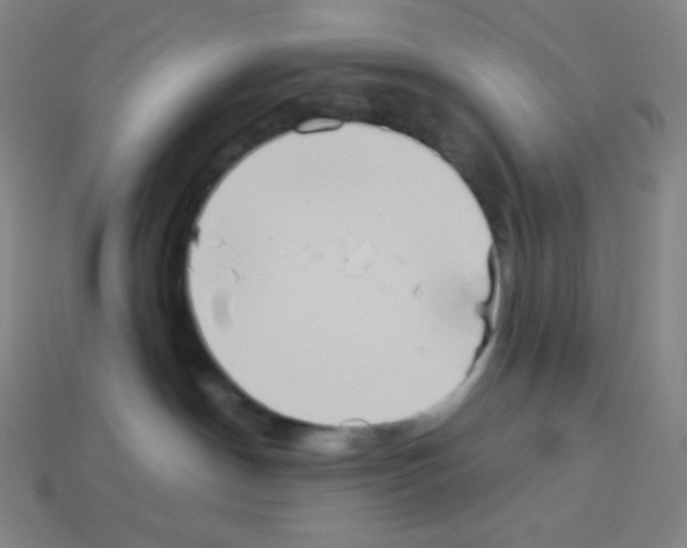 X0000113110190200910091207