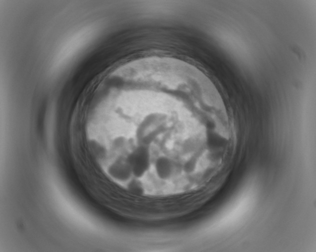 X0000113110191200910091207