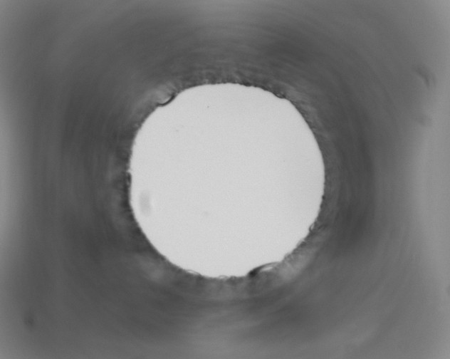 X0000113110192200910091207