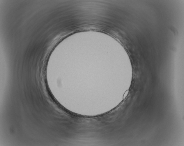 X0000113110193200910091206