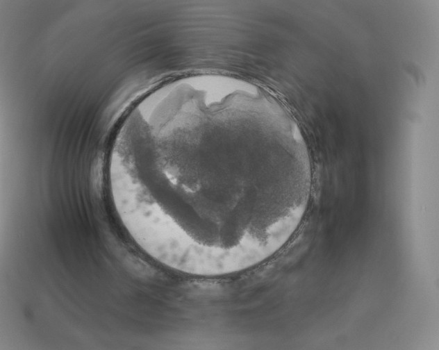 X0000113110194200910091206