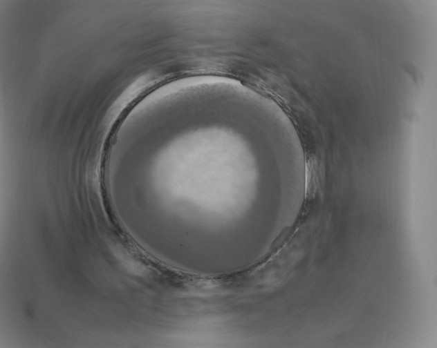 X0000113110195200910091206
