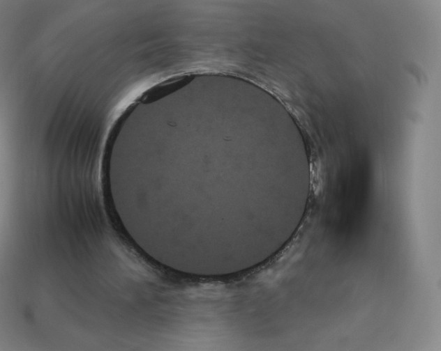 X0000113110196200910091206