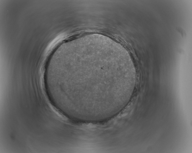 X0000113110197200910091206