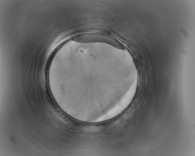 X0000113110198200910091206