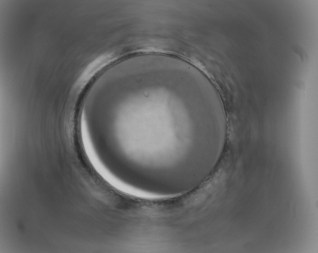 X0000113110199200910091206
